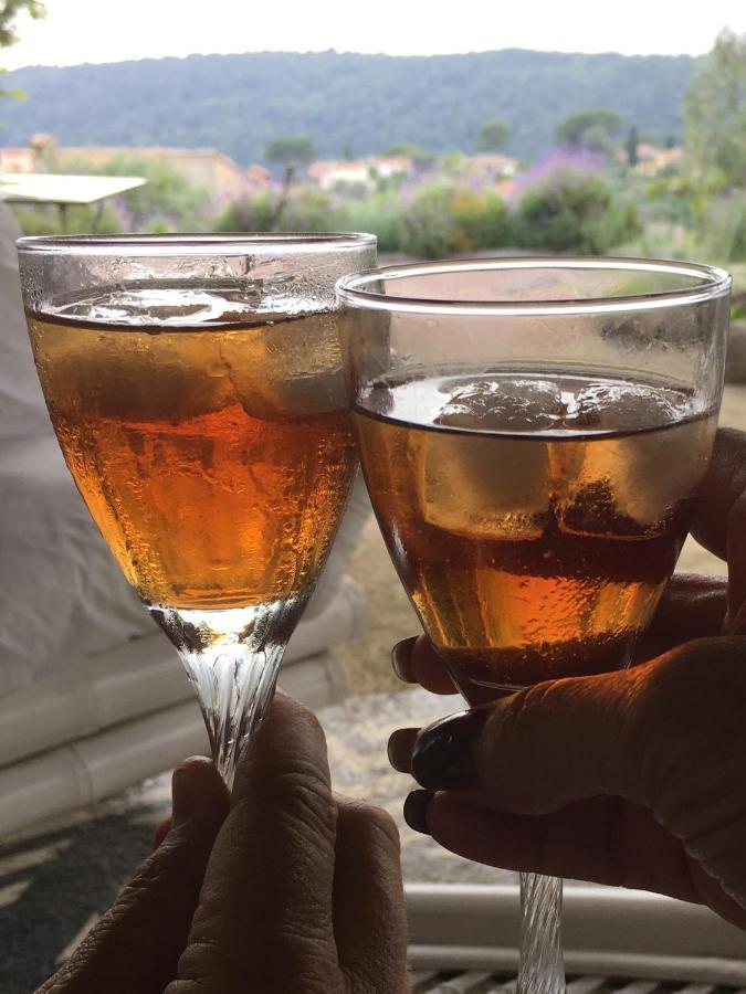 Chambre D'Hotes Casa Biba Vence Exteriér fotografie